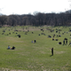 Prospect Park, Brooklyn
